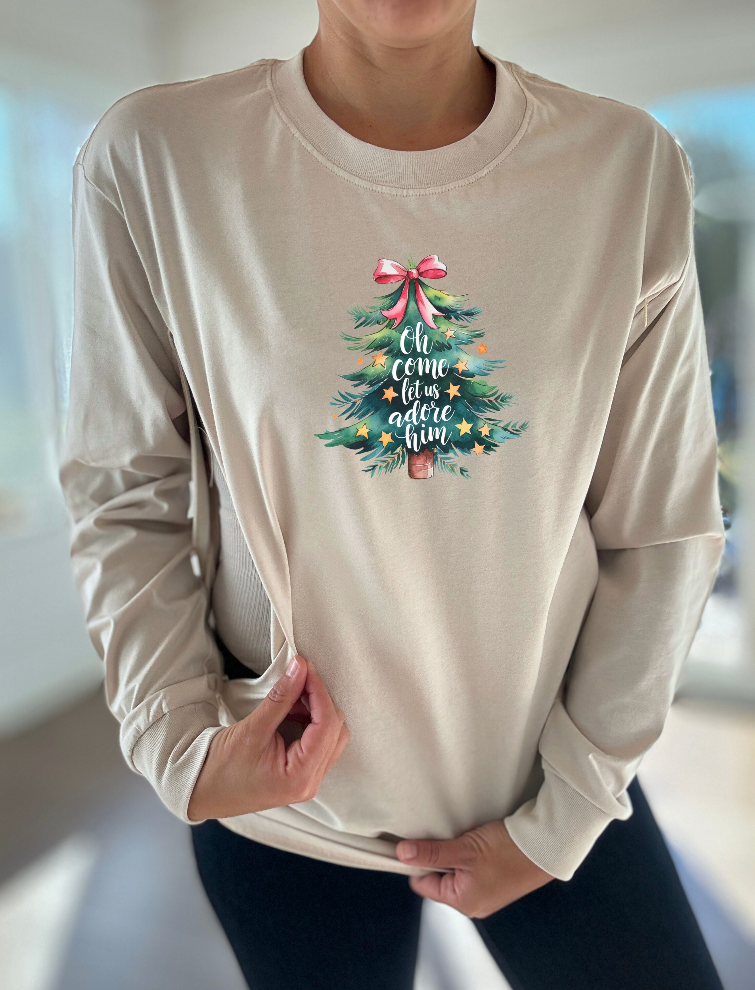 Let Us Adore Him Long Sleeve Comfort Tee